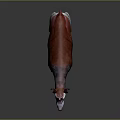 Okapi Wildlife Animal With Reddish Brown Body And Black White Striped Legs