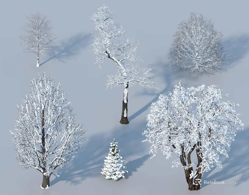 Snow Covered Arborescent Trees With Various Shapes And White Snowy Branches 3d model 