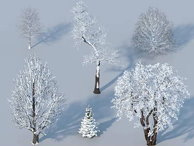 Snow Covered Arborescent Trees With Various Shapes And White Snowy Branches 3d model
