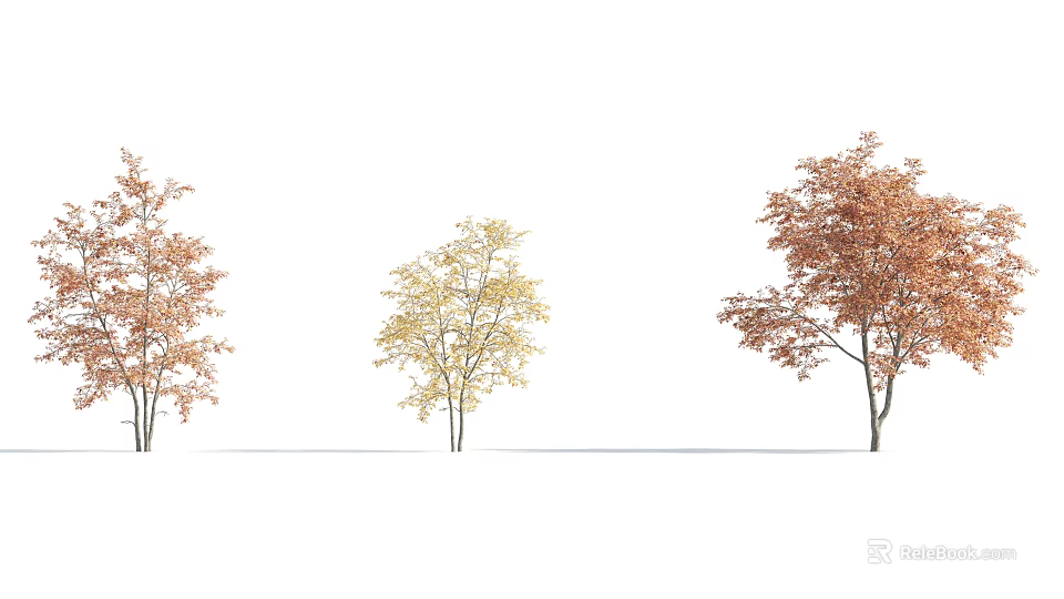 Three Arbor Trees With Orange Yellow Red Leaves Against White Background 3d model 