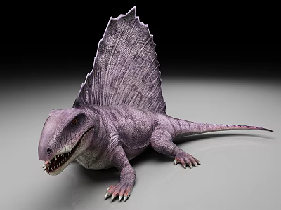 Purple Dimetrodon Dinosaur 3D Model With Sailback On Gray Surface And Black Background 3d model
