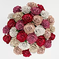 Vibrant Assorted Roses in Flower Lab Moscow Box with Red Pink Cream and White Blooms