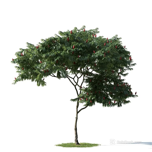 Lush Arbor with Green Leaves and Red Fruits on Slender Trunk 3d model 