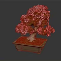 Pink Flowering Bonsai Tree With Sculpted Trunk In Square Mossy Pot