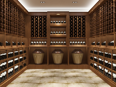 Modern Wine Cellar Winery Wine Room Wine Cabinet 3d model