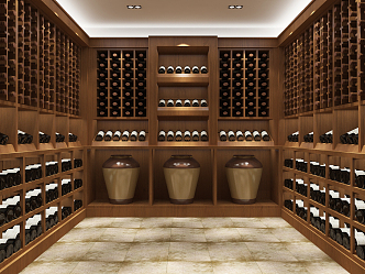 Modern Wine Cellar Winery Wine Room Wine Cabinet 3d model