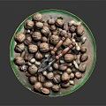 Assorted Mixed Nuts Placed On A Glass Plate With Orange Nutcracker