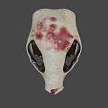 Detailed Animal Skull With Sharp Fangs And Red Marks On Bone Surface