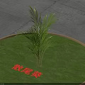 Stylish Outdoor Chair with Areca Palm in Circular Lawn Stone Slab Patio Area