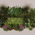 Diverse Plant Combination For Garden Landscaping With Green Foliage Purple Flowers And Grasses