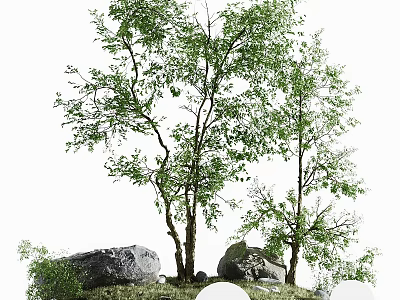 Tall trees with green leaves and trunks standing on grassy ground beside large rocks 3d model