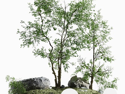 Landscape Green Plant Landscape Tree Landscape Stone Tree 3d model