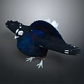 Dark blue bird with spread wings white spots white eye rings and white feet