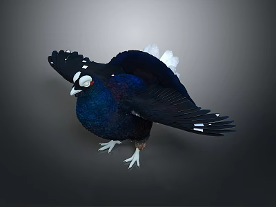 Dark blue bird with spread wings white spots white eye rings and white feet 3d model