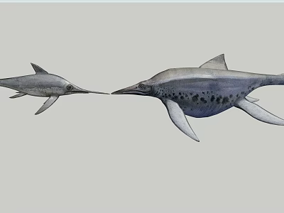 Two Prehistoric Aquatic Animals With Long Snouts Streamlined Bodies And Flippers Of Different Sizes 3d model
