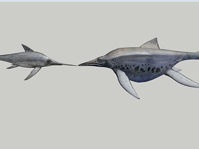 small fish model