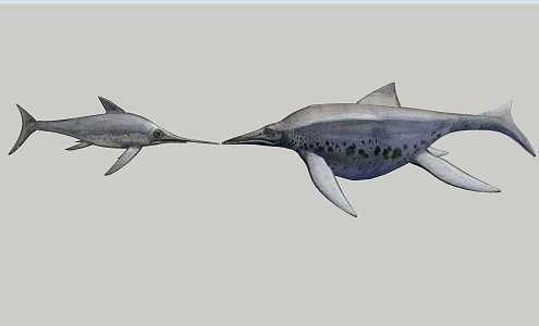 small fish 3d model