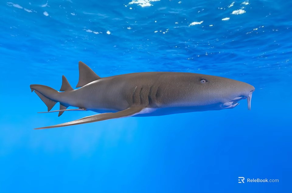 Graceful Shark Swimming in Clear Blue Ocean Water Under Sunlight Rays 3d model 