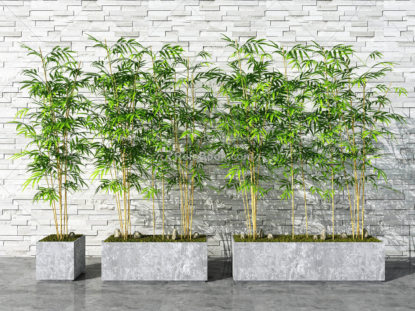 Modern Bamboo Bamboo Potted Plant 3d model