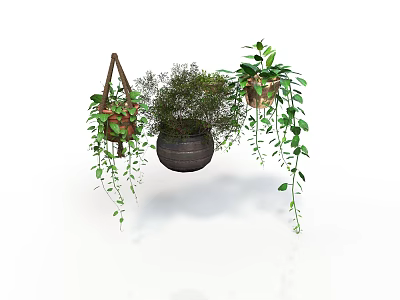 Decorative Hanging Plant Pots With Trailing Green Vines And Leafy Shrubs 3d model