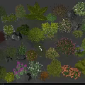 Collection of Various Garden Plants with Colorful Blooms Green Foliage and Decorative Stones