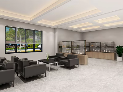 Cozy Leisure Area Interior With Comfortable Sofas Coffee Tables Display Cabinets And Large Windows 3d model