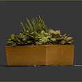 Healthy Green Succulent Plants In Orange Rectangular Planter With Mixed Foliage
