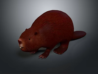 Brown Aquatic Beaver 3D Model With Brown Fur Standing Pose And Neutral Background 3d model