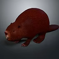 Brown Aquatic Beaver 3D Model With Brown Fur Standing Pose And Neutral Background