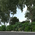 Lush Garden Landscape With Tall Trees Diverse Green Plants And Natural Pathway