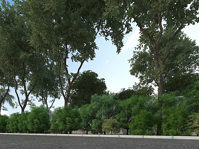 Lush Garden Landscape With Tall Trees Diverse Green Plants And Natural Pathway 3d model