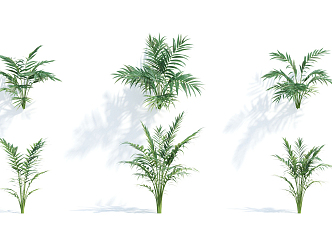 Modern grass shrub 3d model