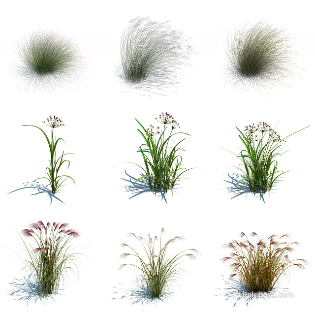 Various Types of Garden Herbs and Flowers Showcasing Different Grass Species and Bloom Varieties 3d model 