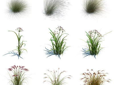 Various Types of Garden Herbs and Flowers Showcasing Different Grass Species and Bloom Varieties 3d model