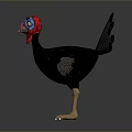 Turkey 3D Model With Blue Head Red Wattle Spread Tail Feathers And Yellow Eyes