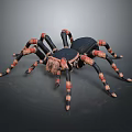 Realistic 3D Spider Model Featuring Black Body And Orange Striped Legs 3d model