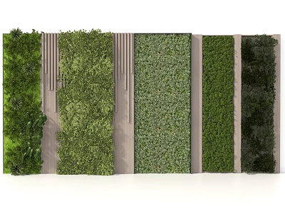 Green Wall Design With Lush Diverse Greenery And Vertical Plant Arrangement 3d model