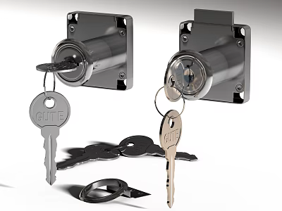 Stainless Steel Lock Cylinders With Keys Key Ring And Accessories 3d model