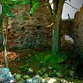 Ancient Stone Ruins Surrounded By Wooden Trees And Moss Covered Stones