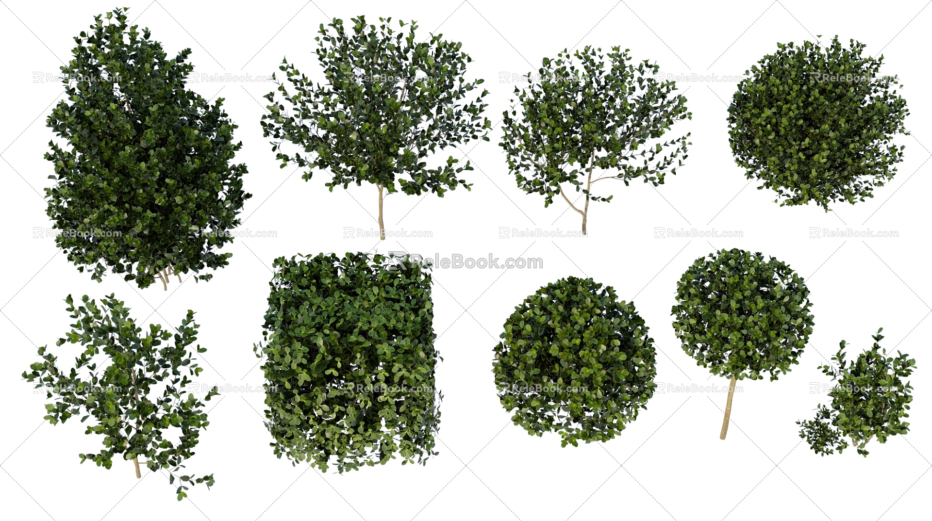 Landscape Plants Landscape Trees Plant Groups Shrubs Trees model