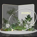 Scenic Photo Spot With Lush Green Plants Circular Frame And White Backdrop