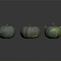 Three Green Pumpkins with Fresh Stems Smooth Surfaces and Natural Texture on Dark Background