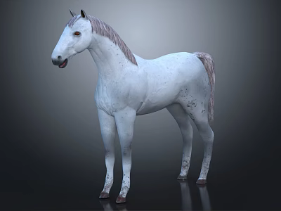 White Horse 3D Model With Realistic Body And Gray Mane 3d model