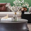Light Gray Sofa and Round Coffee Table Set with Brown Cushion White Flowers and Green Wall