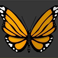 Butterfly Shaped Commercial Decorative LED Light With Orange Black White Wings For Retail Store