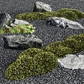 Courtyard landscape stone moss micro-terrain courtyard sketch landscape landscaping 3d model