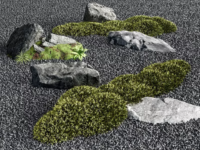 Arrangement Of Natural Stones With Green Moss And Small Plants On Black Gravel 3d model