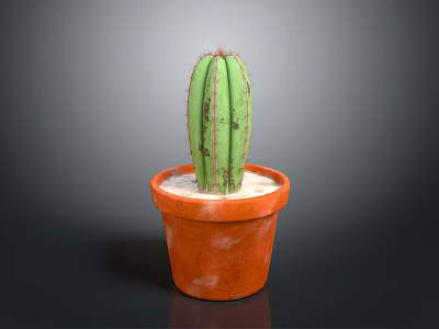 Green Ribbed Cactus With Spines In Orange Terracotta Pot With Soil 3d model