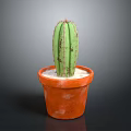 Green Ribbed Cactus With Spines In Orange Terracotta Pot With Soil