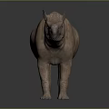 Brown Rhinoceros Model With Wrinkled Skin Standing On Dark Background